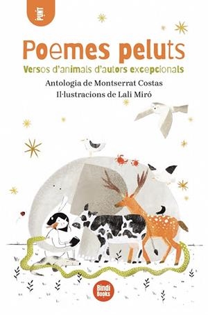 POEMES PELUTS | 9791387594251 | COSTAS, MONTSERRAT