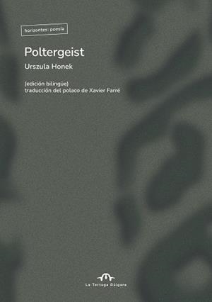 POLTERGEIST | 9791387535360 | HONEK, URSZULA