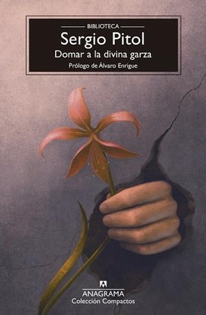 DOMAR A LA DIVINA GARZA | 9788433950987 | PITOL, SERGIO