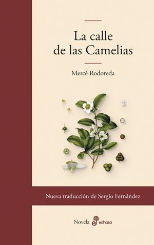 LA CALLE DE LAS CAMELIAS | 9788435011860 | RODOREDA, MERCÈ