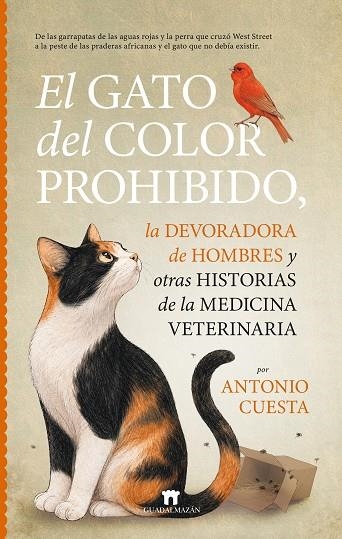 EL GATO DEL COLOR PROHIBIDO, LA DEVORADORA DE HOMBRES Y OTRAS HISTORIAS DE LA ME | 9791387941314 | ANTONIO CUESTA
