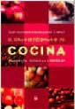 GRAN DICCIONARIO DE COCINA | 9788479019594 | VV
