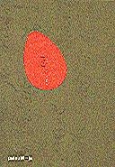 DALI AFINIDADES ELECTIVAS | 9788439363934 | PARCERISAS, PILAR