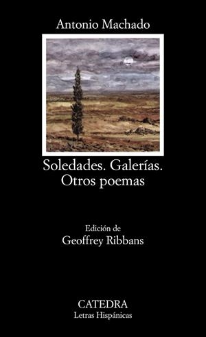 SOLEDADES ,GALERIAS OTROS POEMAS | 9788437604114 | MACHADO
